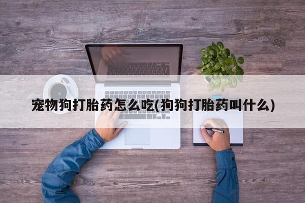 药流药怎么购买宠物狗打胎药怎么吃(狗狗打胎药叫什么)