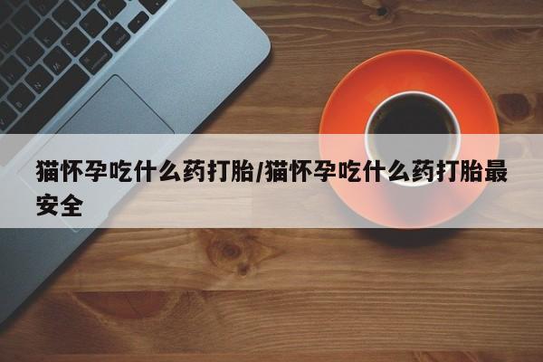 药流药怎么购买猫怀孕吃什么药打胎/猫怀孕吃什么药打胎最安全