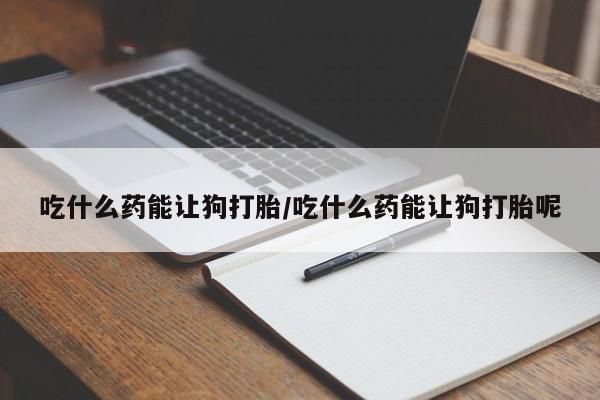 药流药怎么购买吃什么药能让狗打胎/吃什么药能让狗打胎呢