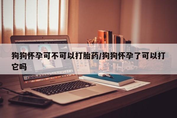 药流药怎么购买狗狗怀孕可不可以打胎药/狗狗怀孕了可以打它吗