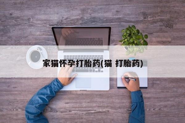 药流药怎么购买家猫怀孕打胎药(猫 打胎药)